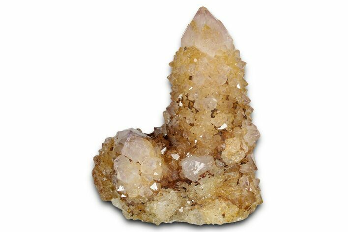 Sunshine Cactus Quartz Crystal Cluster - South Africa #337662